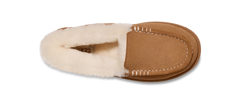 Ugg Ansley Parc Chestnut Women's 5